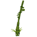 Thumbnail for version as of 12:08, 28 May 2026
